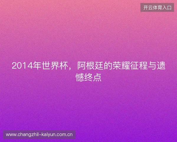 2014年世界杯，阿根廷的荣耀征程与遗憾终点