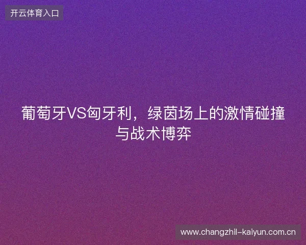 葡萄牙VS匈牙利，绿茵场上的激情碰撞与战术博弈